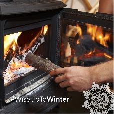 Wise up to winter logo